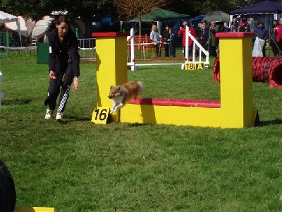 de la roche aux Sources - Dambenois agility!!